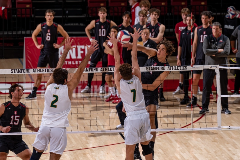 “No one really knows me like my brother”: Will and Alex Rottman take to the court 1 Volleyball players
