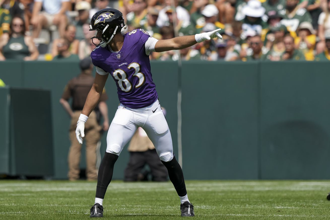 Baltimore Ravens v Green Bay Packers