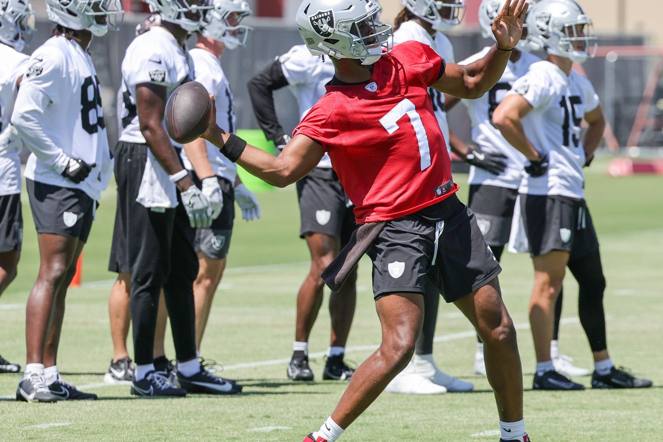 Las Vegas Raiders OTA Offseason Workout